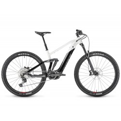 Moustache Trail 4 2021