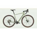 Cannondale Topstone Neo SL 1